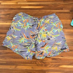 Patagonia Men’s Baggies shorts